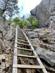 crane ladder