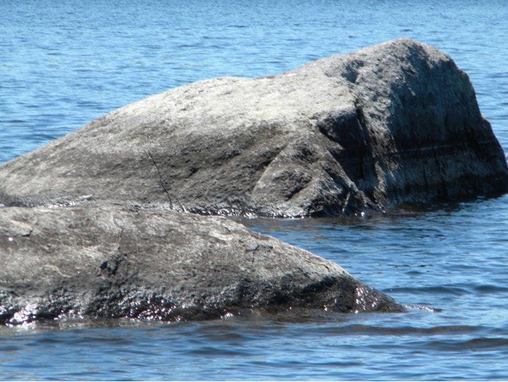 The rock