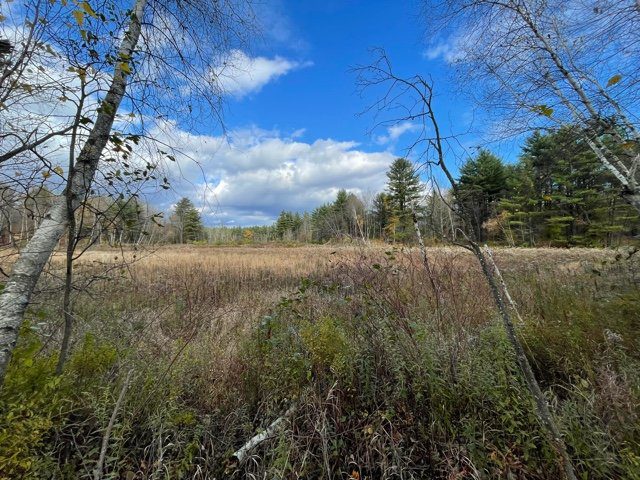 Brookfield Headwaters Trail