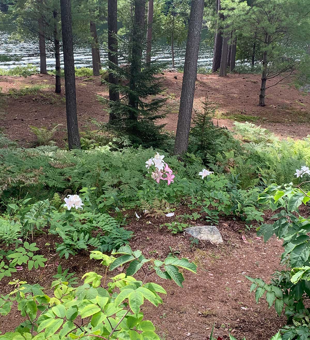 joan grabe photo of upper saranac lake