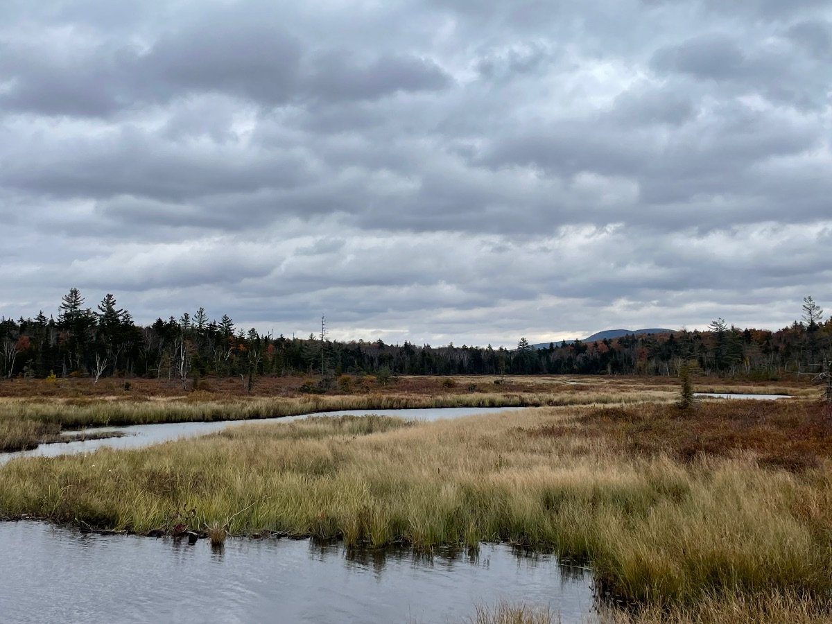 West Canada Lake Wilderness in October. Photo by Zachary Matson