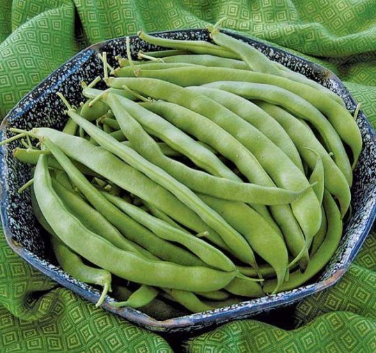 Green beans