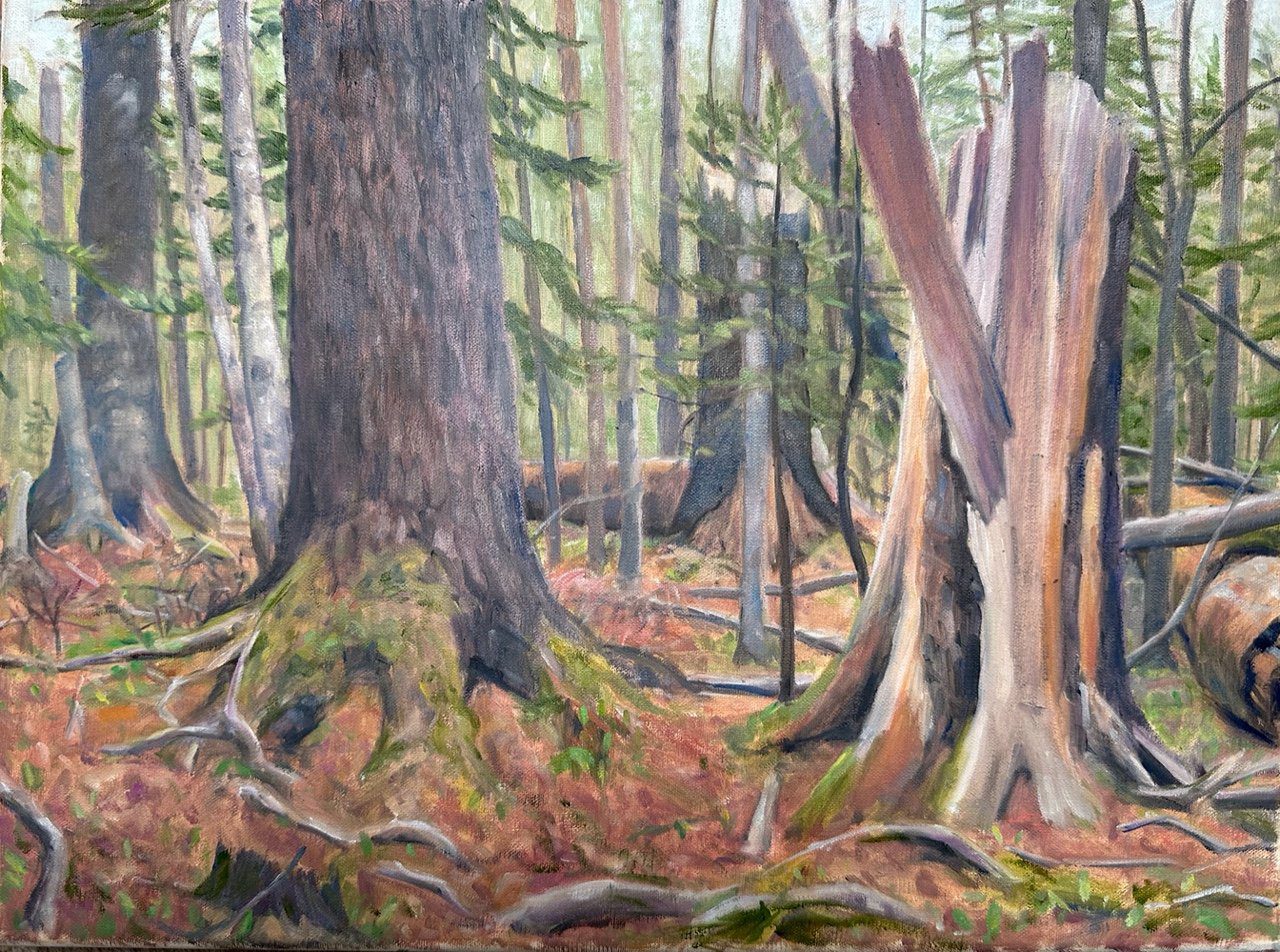 forest painting