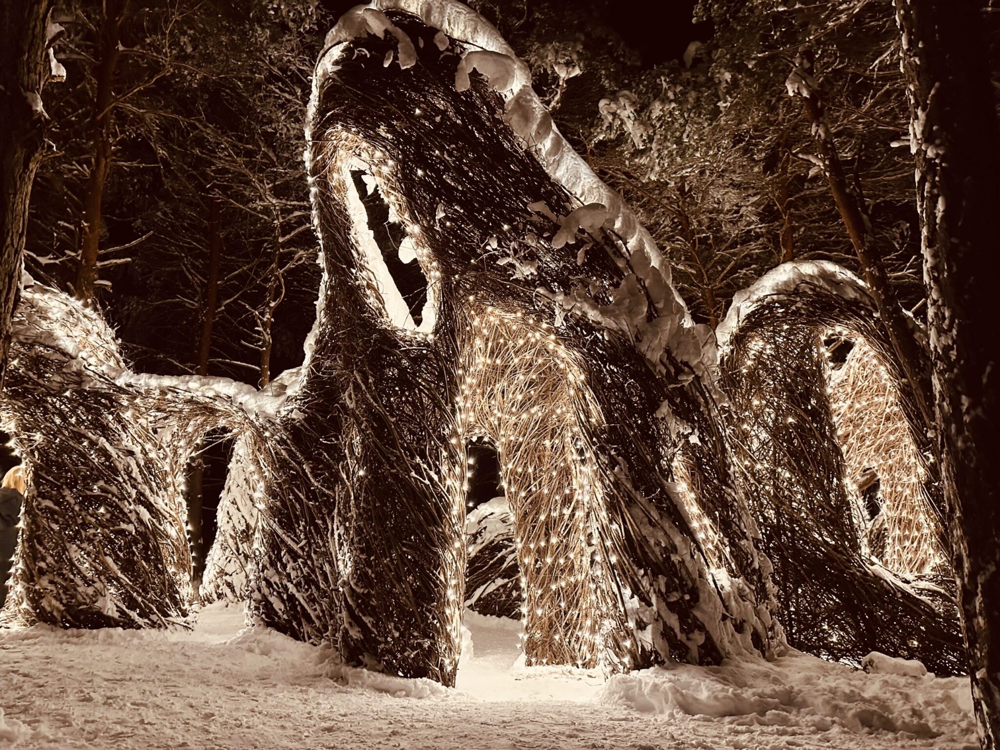 sculpture at The Wild Center's Wild Lights exhibit in Tupper Lake