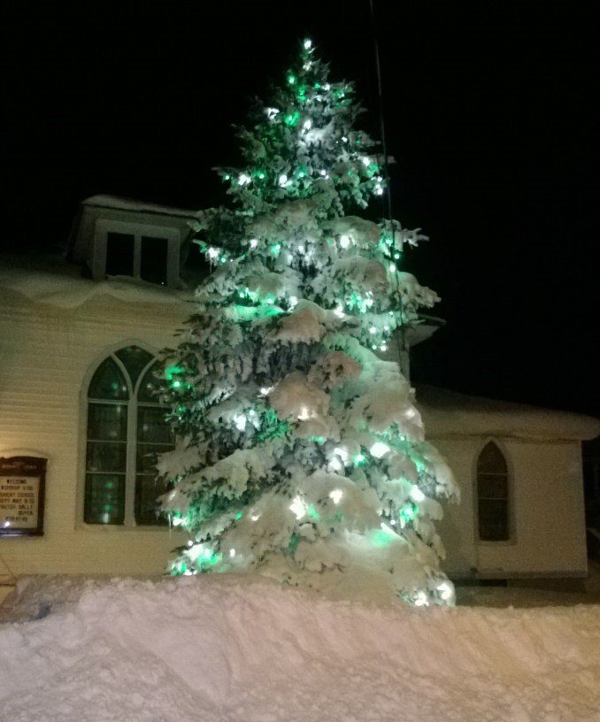 Tree with Christmas lights