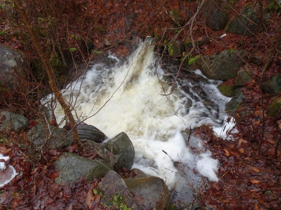Outlet of a pond