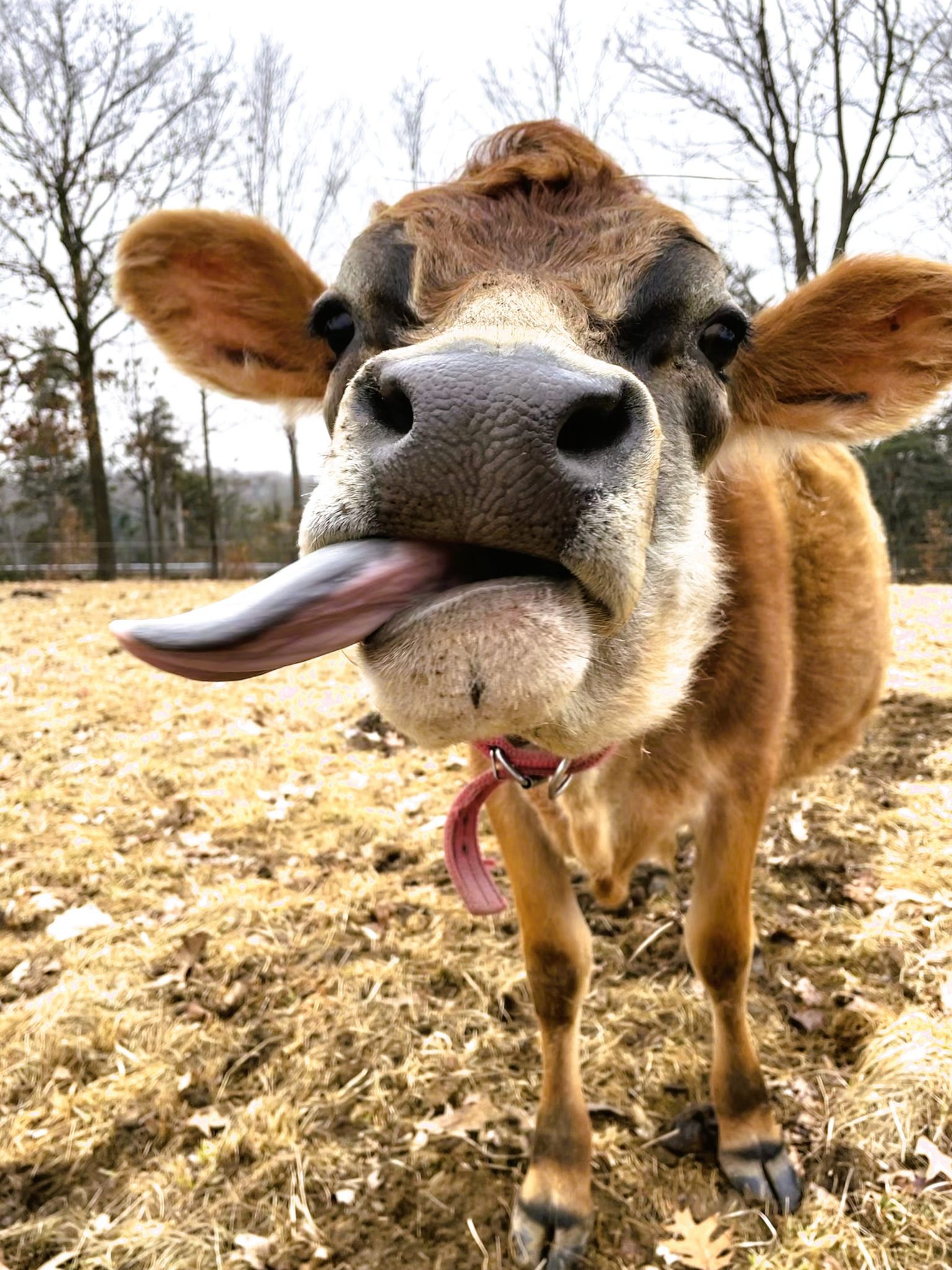 this is Maria, photo provided by Adam Wilson