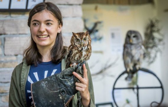 Woman holds an owl