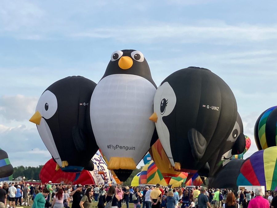 Penguin-shaped hot air balloon