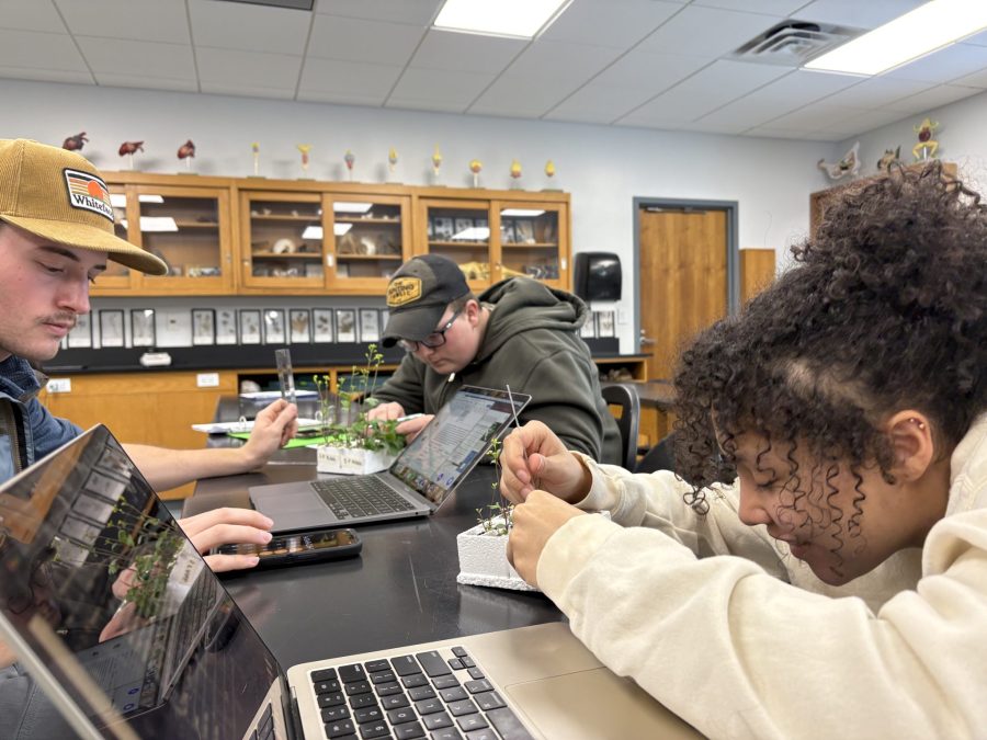 students in a college class