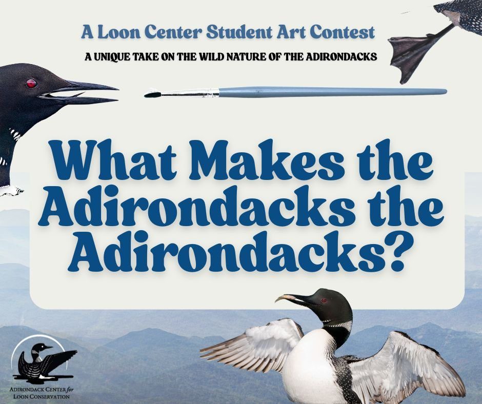 student art exhibit graphic