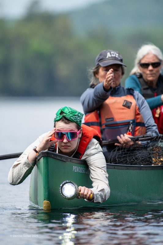 people in a canoe look for a loon